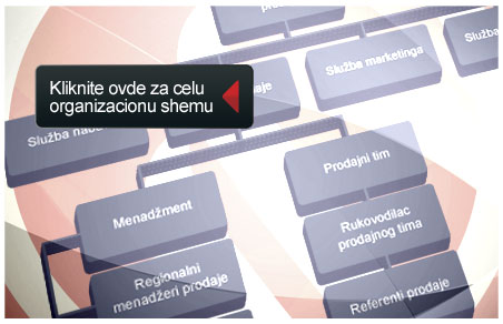 Organizaciona shema kompanije Interpromet Novi Grad